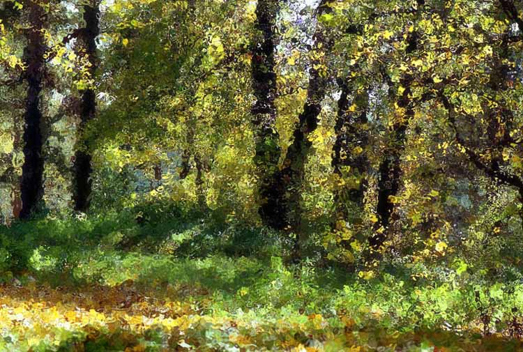 фото "Impressio....." метки: пейзаж, осень