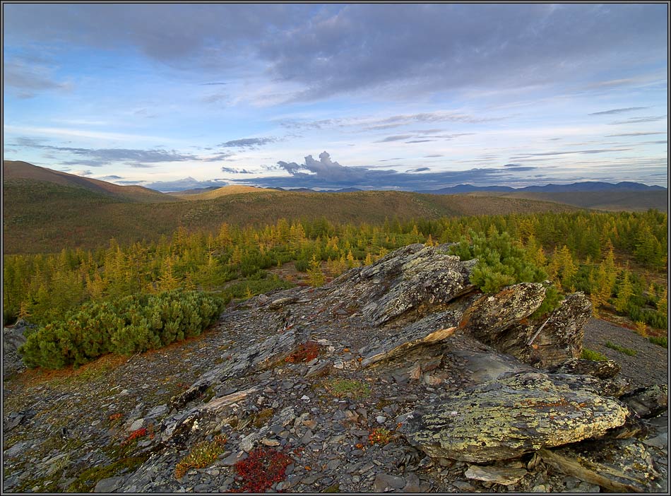 photo "At the coloured stones" tags: landscape, autumn, forest