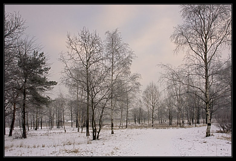 photo "***" tags: landscape, winter