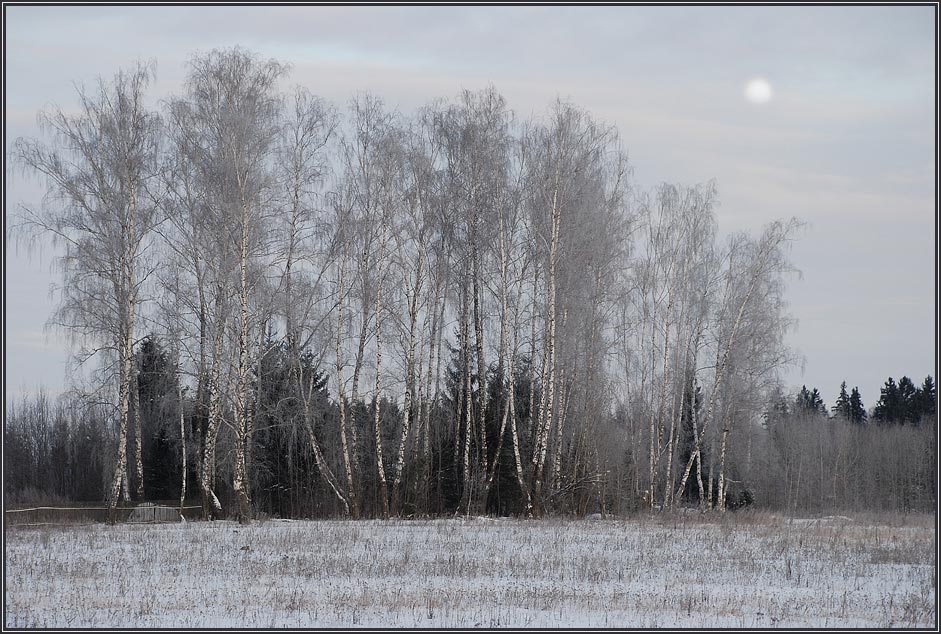 photo "Morning moon" tags: landscape, winter