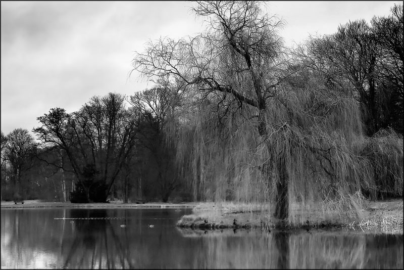 photo "***" tags: landscape, black&white, water