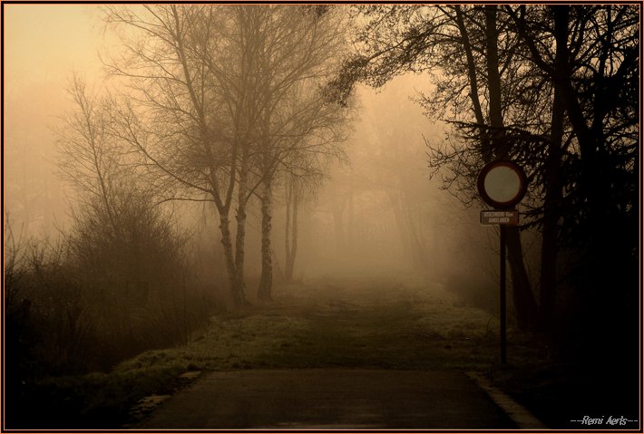 photo "misty and sunny morning" tags: landscape, winter