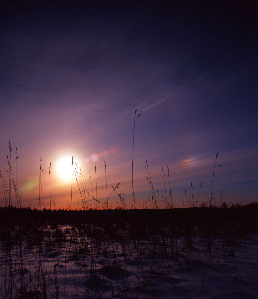 photo "***" tags: landscape, winter