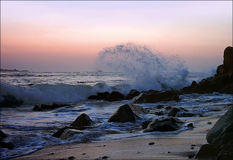 photo "Cocktail Plume." tags: landscape, sunset, water