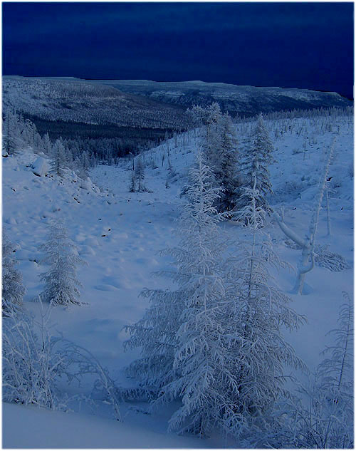 photo "***" tags: landscape, forest, winter