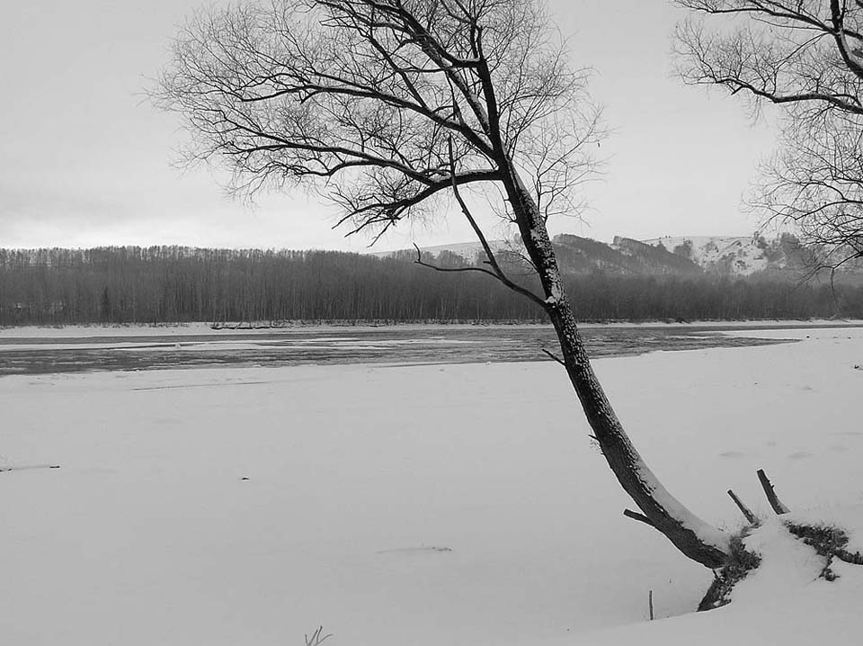 photo "Lonely" tags: landscape, travel, South America