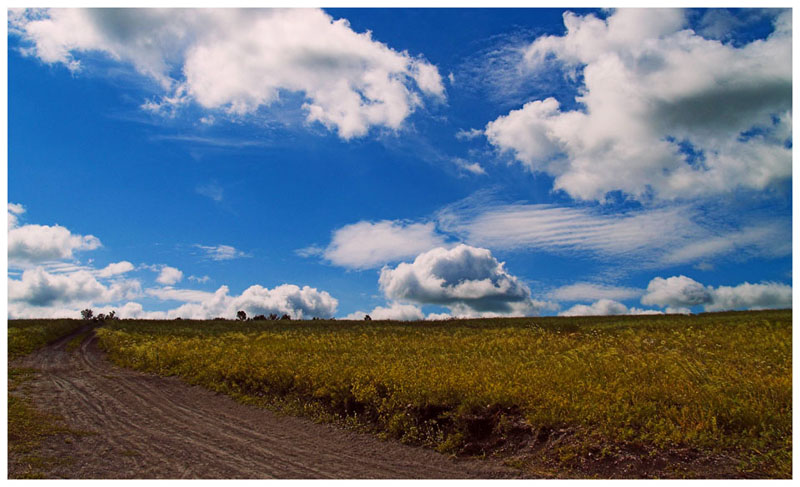 photo "***" tags: landscape, summer