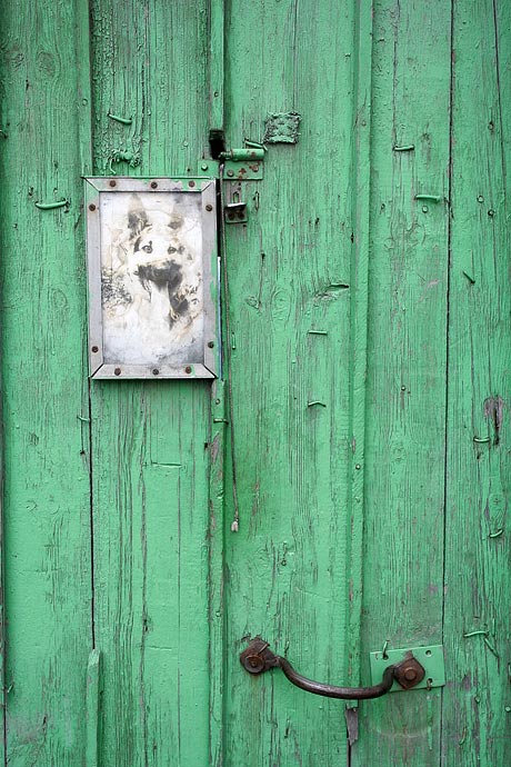 фото "У попа была собака" метки: жанр, абстракция, 