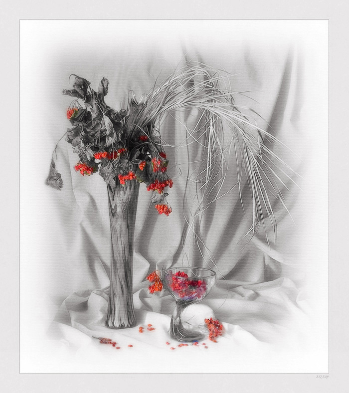 photo "Etude with red berries" tags: still life, 