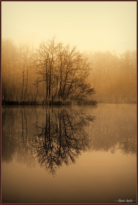 photo "misty morning" tags: landscape, water, winter