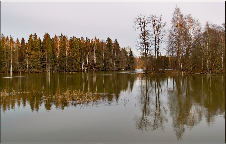 фото "Запоздалое предзимье" метки: пейзаж, вода, лес