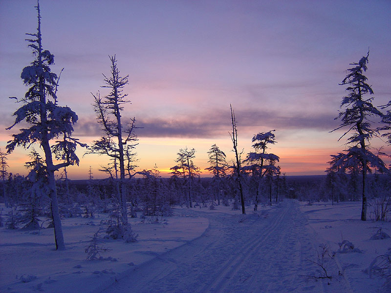 photo "***" tags: landscape, forest, sunset