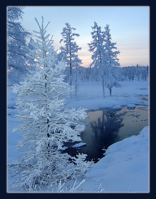 photo "***" tags: landscape, forest, winter