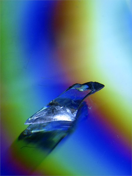 photo "'Another World'" tags: macro and close-up, still life, 