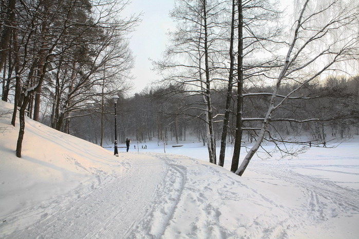 фото "Сумерки" метки: пейзаж, природа, домашние животные, зима