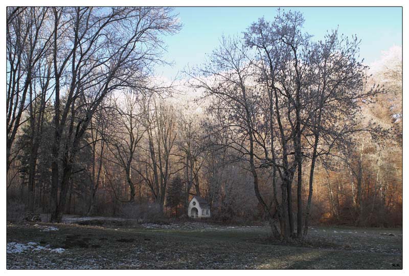 photo "Cold ground" tags: landscape, winter