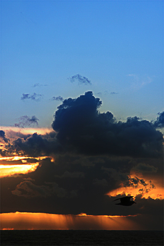 фото "The intruder" метки: пейзаж, закат