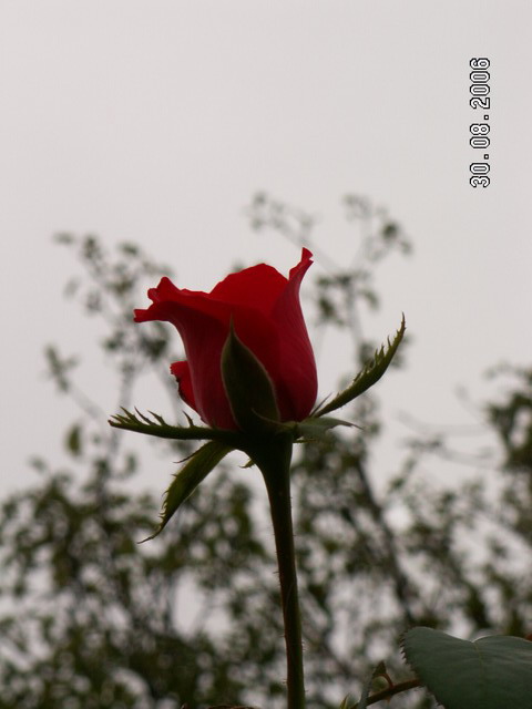 photo "***" tags: , 