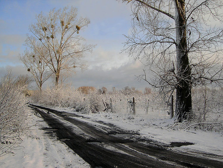 photo "***" tags: landscape, winter