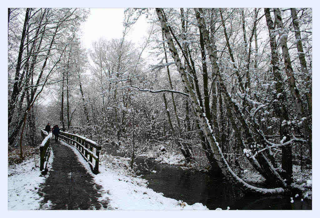 photo "the time goes on" tags: landscape, winter