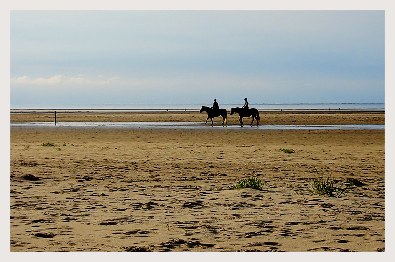 photo "riders on the sand" tags: landscape, travel, 