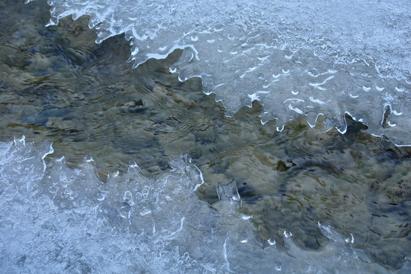 photo "Charm of an ice" tags: misc., nature, 