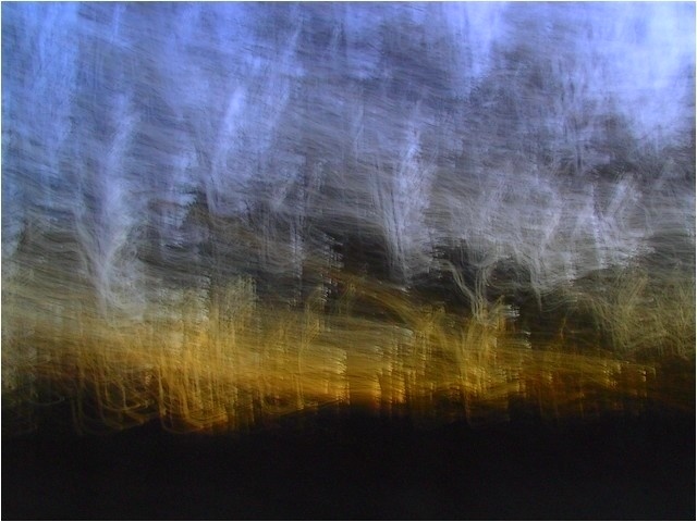 photo "the burning wood" tags: abstract, 