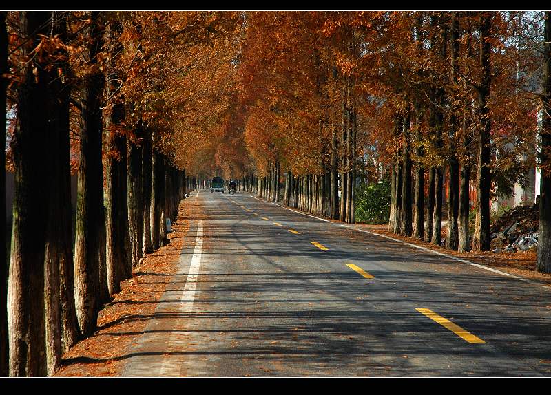 photo "Road at countryside" tags: travel, Asia