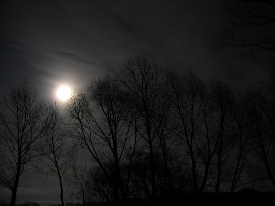 photo "***" tags: landscape, night