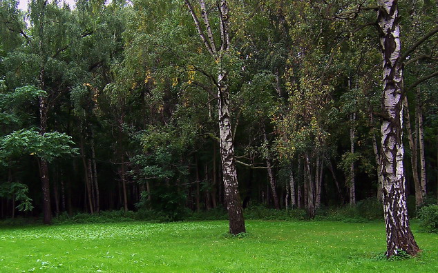photo "***" tags: nature, 