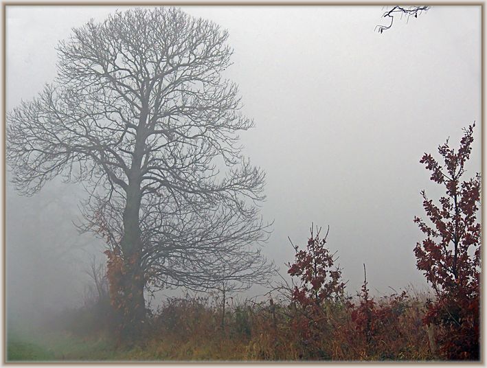 photo "Fog" tags: landscape, clouds, winter