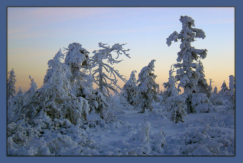 photo "***" tags: landscape, forest, winter