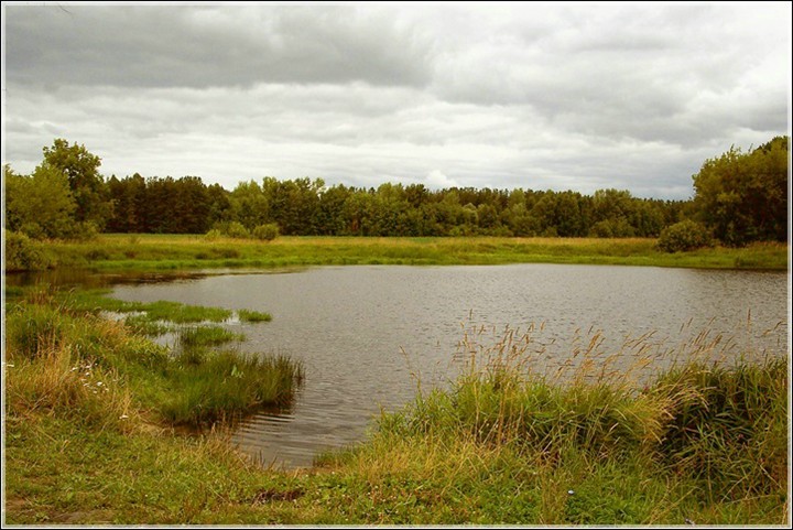 photo "Before a rain" tags: landscape, summer