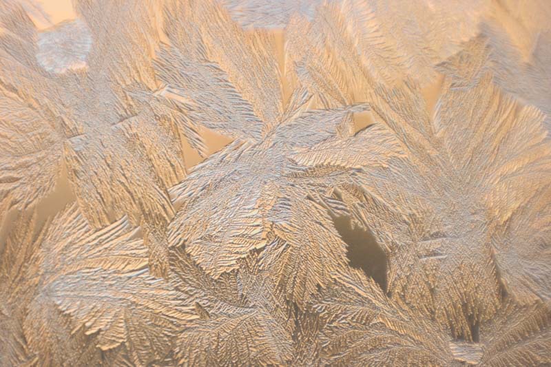 photo "frost design" tags: macro and close-up, 