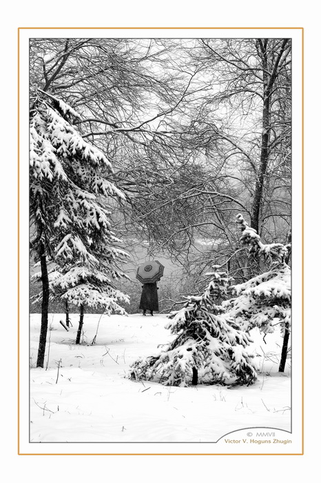 фото "Зима" метки: пейзаж, черно-белые, зима