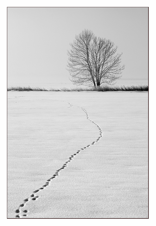 photo "***" tags: landscape, winter