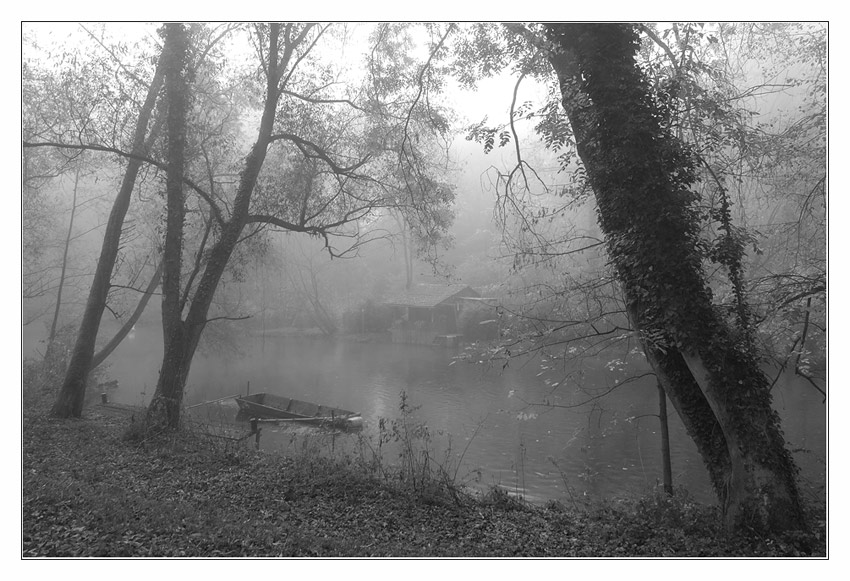 photo "***" tags: landscape, forest, water