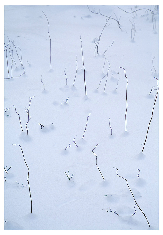 photo "Winter Signs" tags: nature, abstract, 