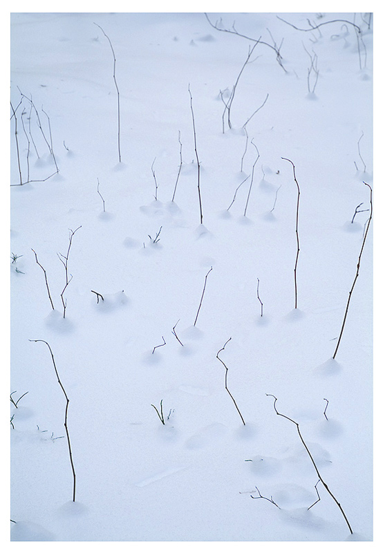 photo "Winter Signs" tags: nature, abstract, 
