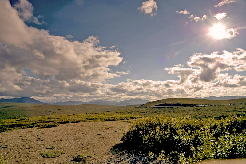 photo "Sunshine over green field" tags: nature, 