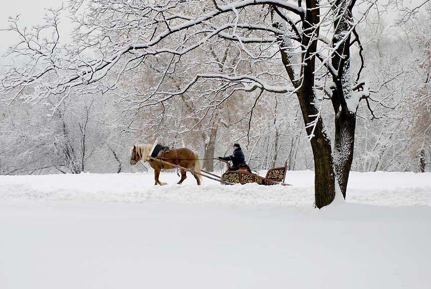 фото "Российский мотив" метки: пейзаж, зима