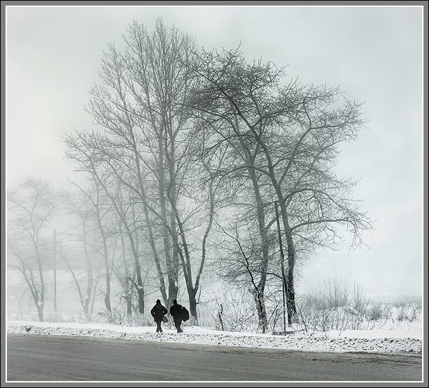 фото "дорога тумана и великаны" метки: , 