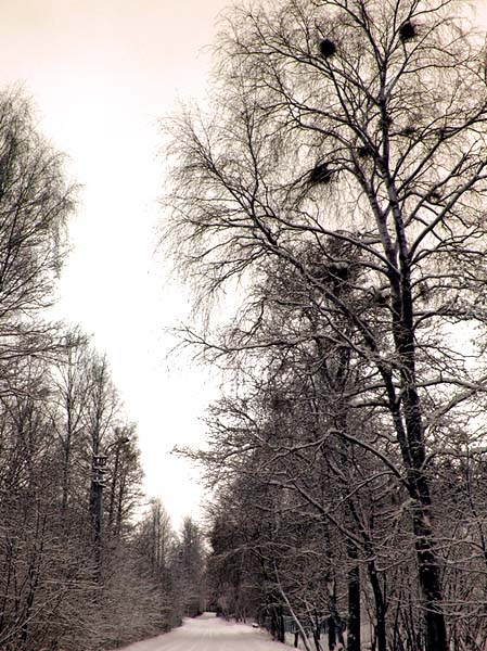 photo "***" tags: landscape, winter
