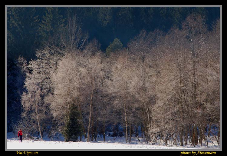 фото "Val Vigezzo winter" метки: пейзаж, горы