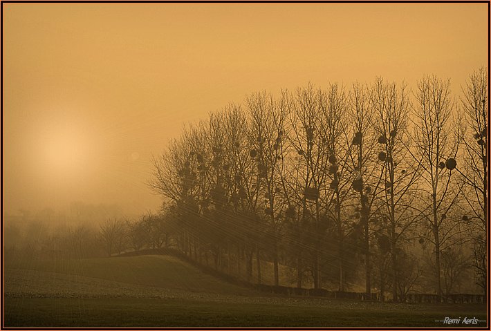 фото "morning" метки: пейзаж, зима