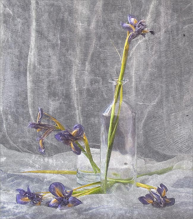 photo "The last forgive..." tags: still life, 
