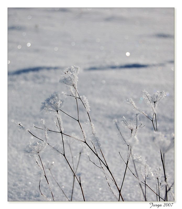 photo "***" tags: landscape, winter