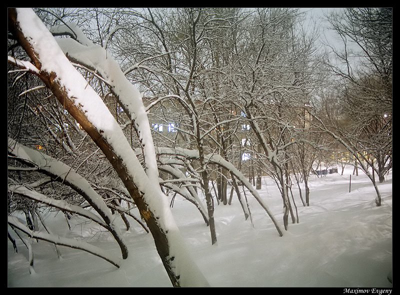 фото "Снег..." метки: , 