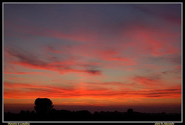 фото "tramonto in lomellina" метки: пейзаж, закат