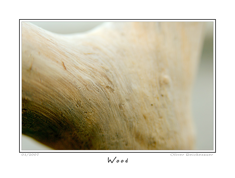 photo "Wood" tags: nature, macro and close-up, flowers